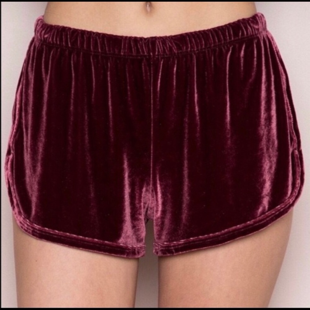 Brandy Melville velvet shorts and FREE brandy top